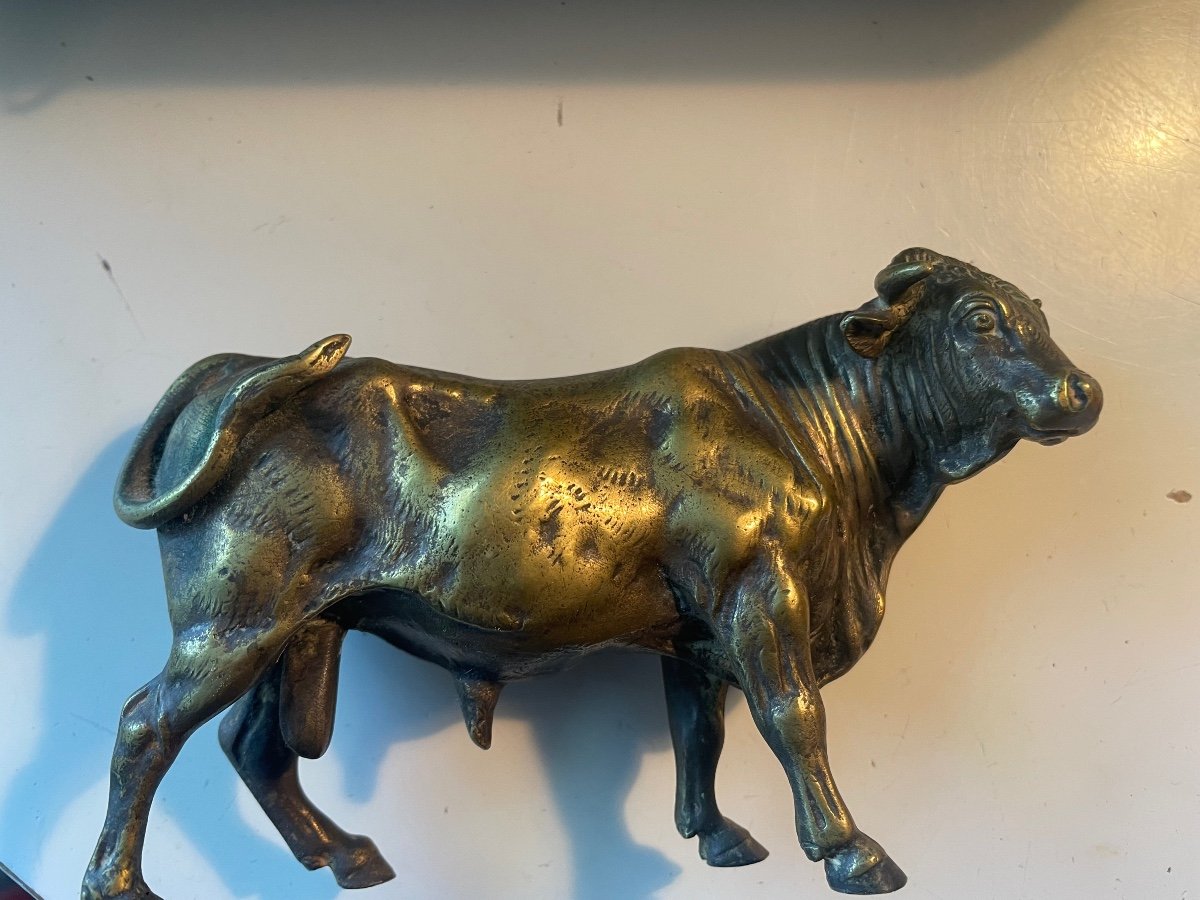 Bronze Bull -photo-3