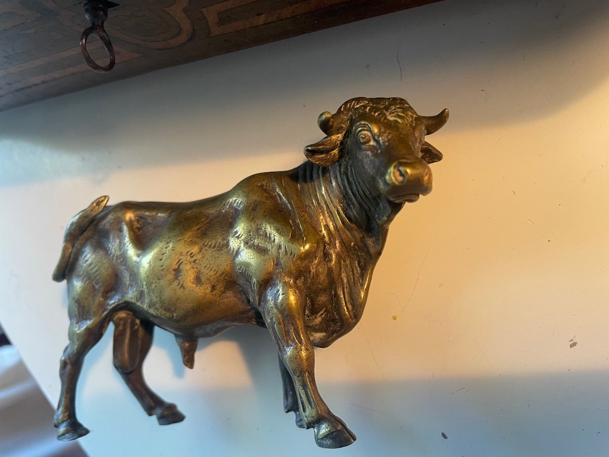 Bronze Bull -photo-6