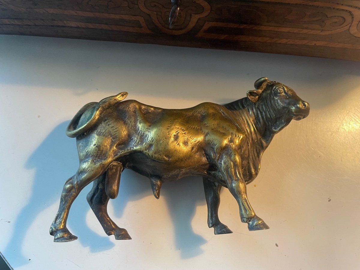 Bronze Bull -photo-7