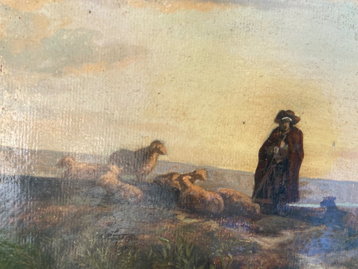 Shepherd And His Sheep 