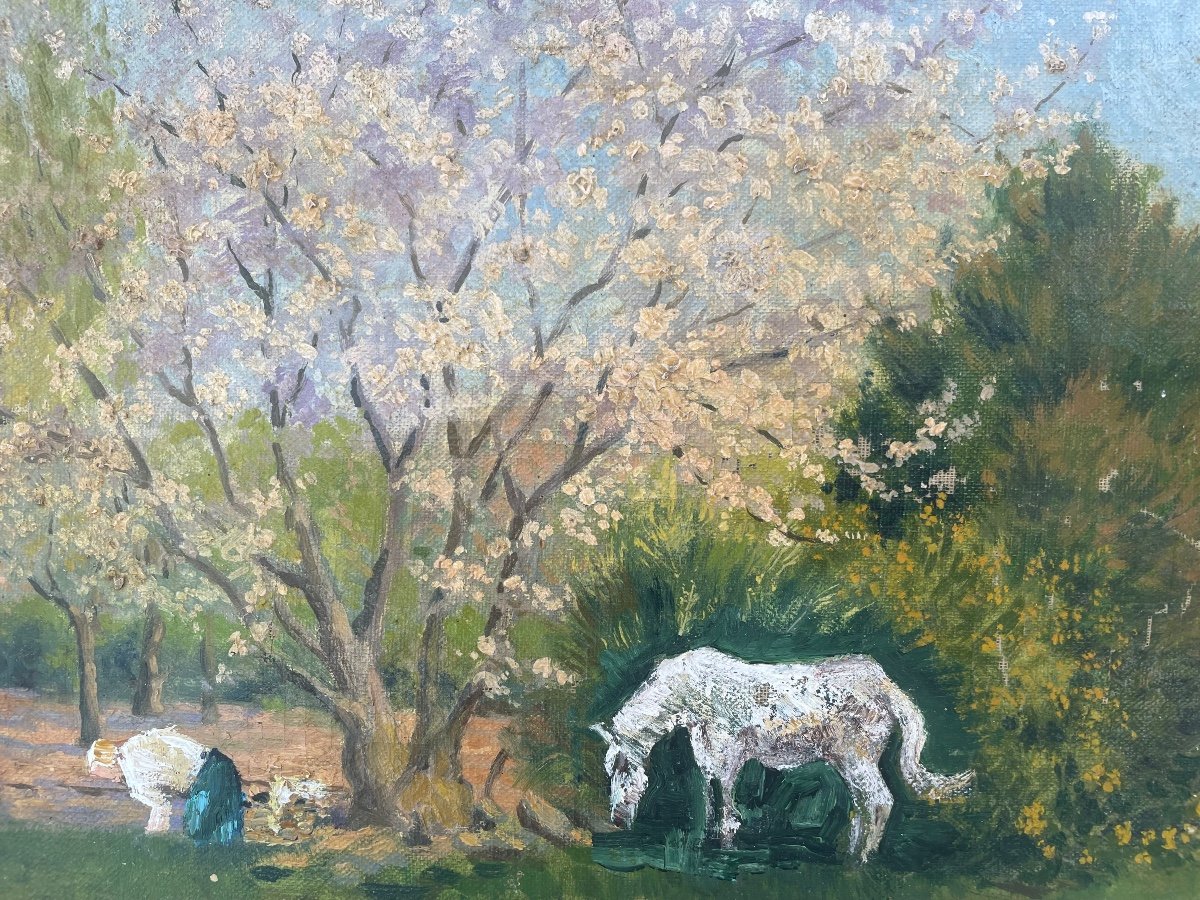 Landscape With White Horse -photo-4