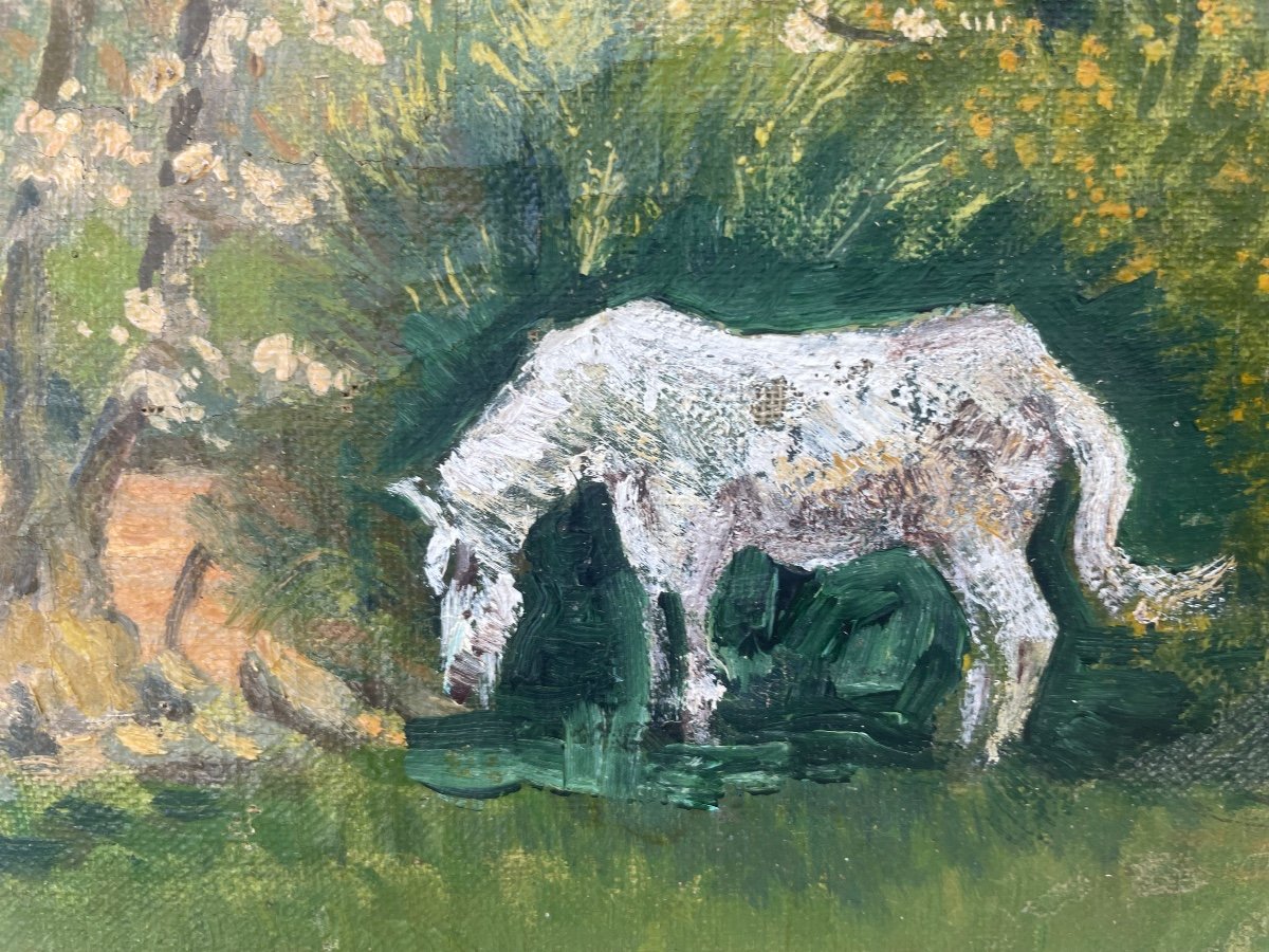 Landscape With White Horse -photo-4