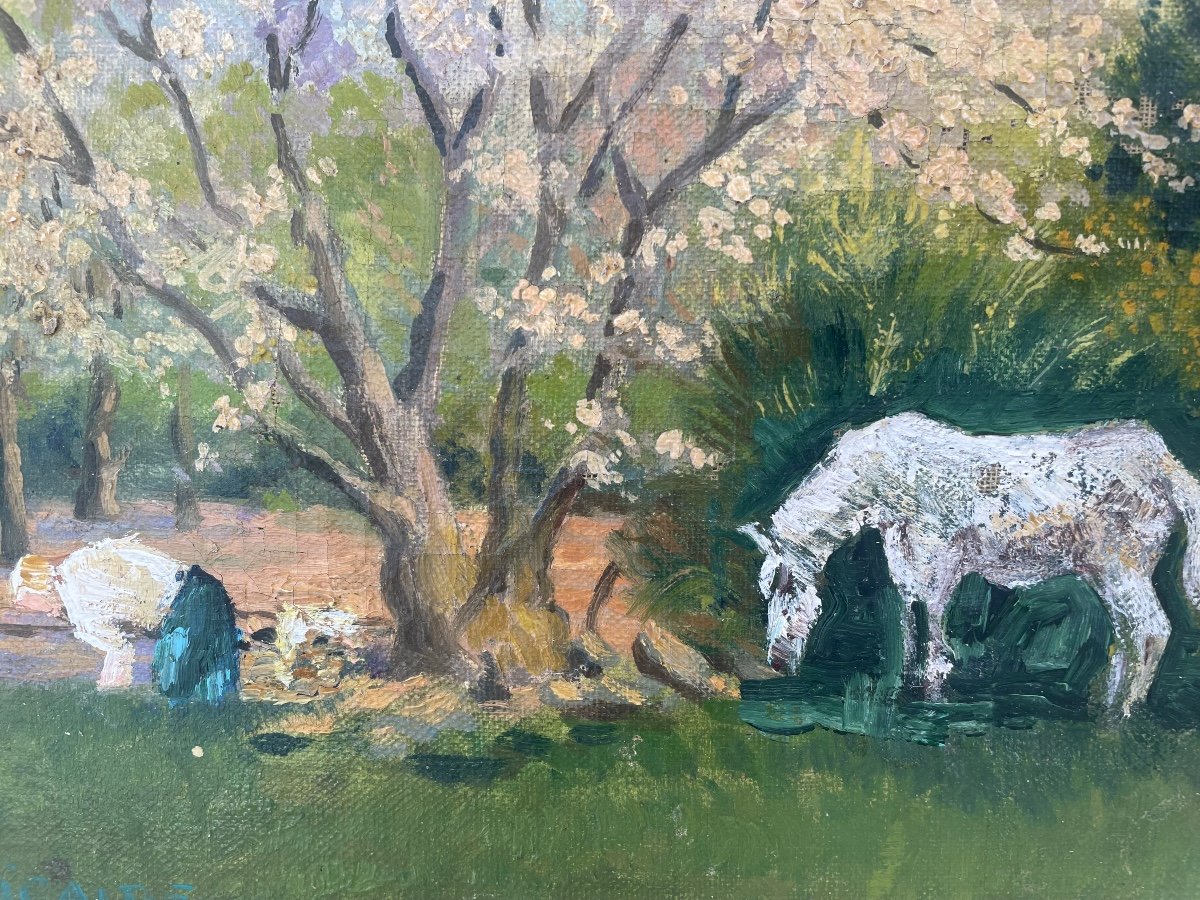 Landscape With White Horse -photo-5