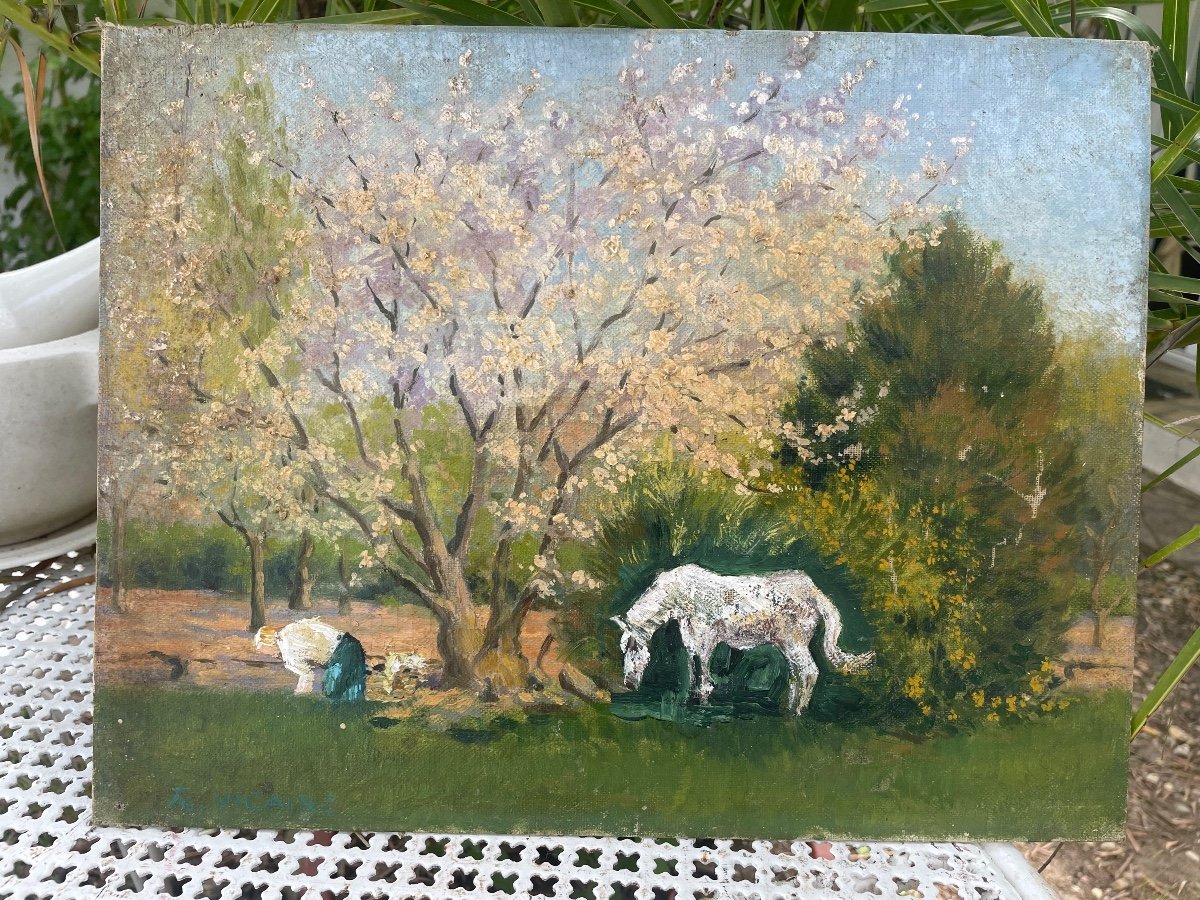 Landscape With White Horse -photo-6