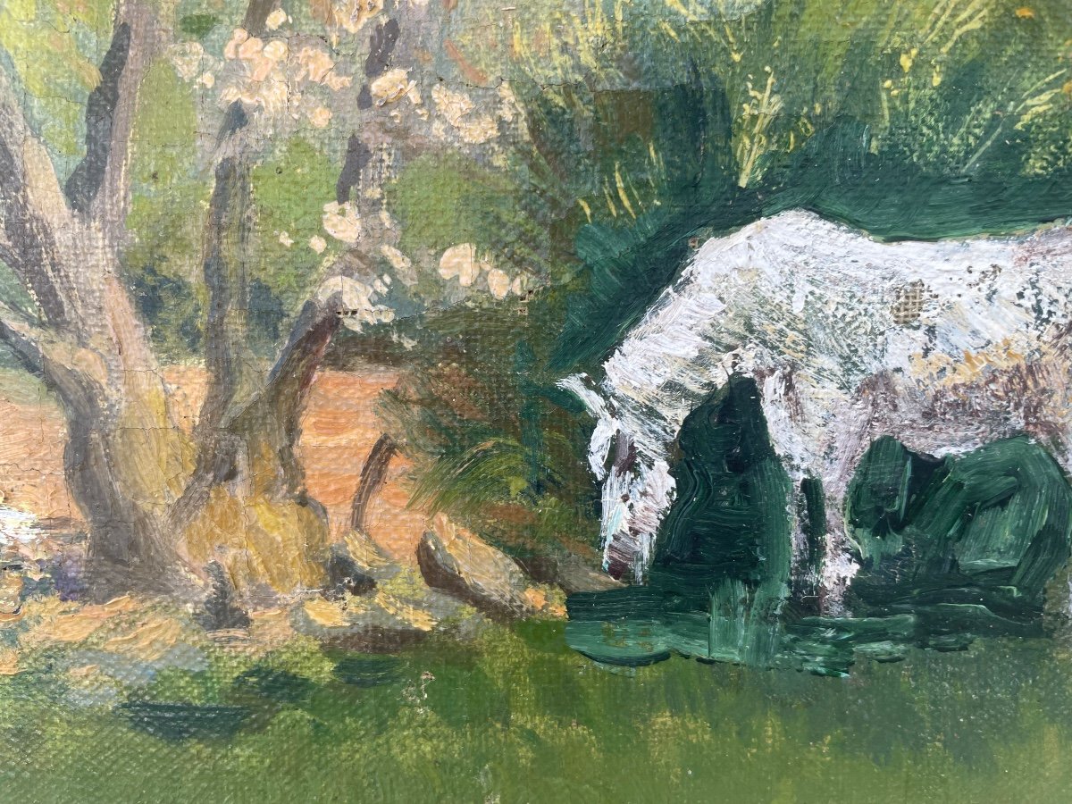 Landscape With White Horse 