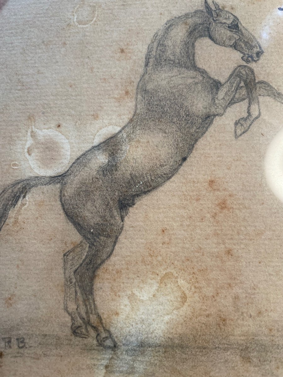 Prancing Horse Drawing -photo-2