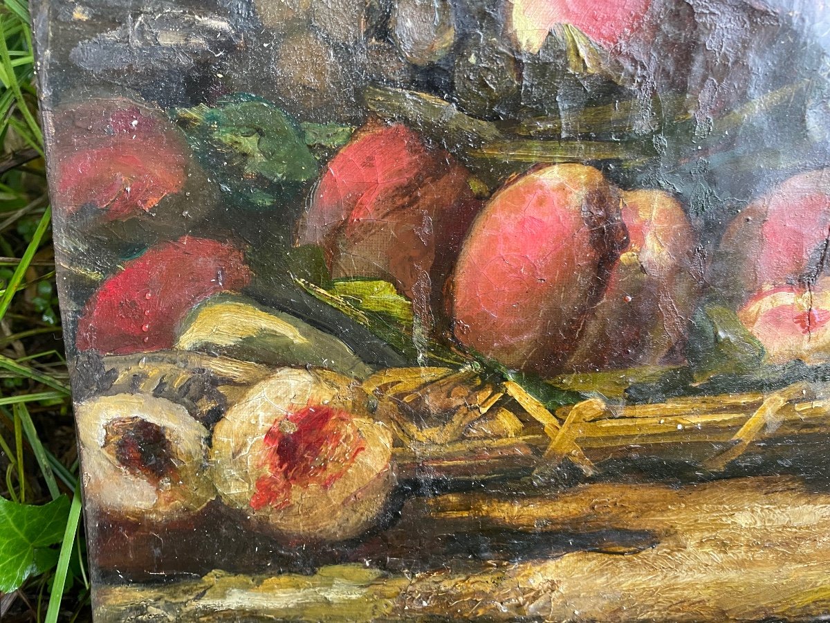 Peaches And Grapes From Brunel De Neuville -photo-3