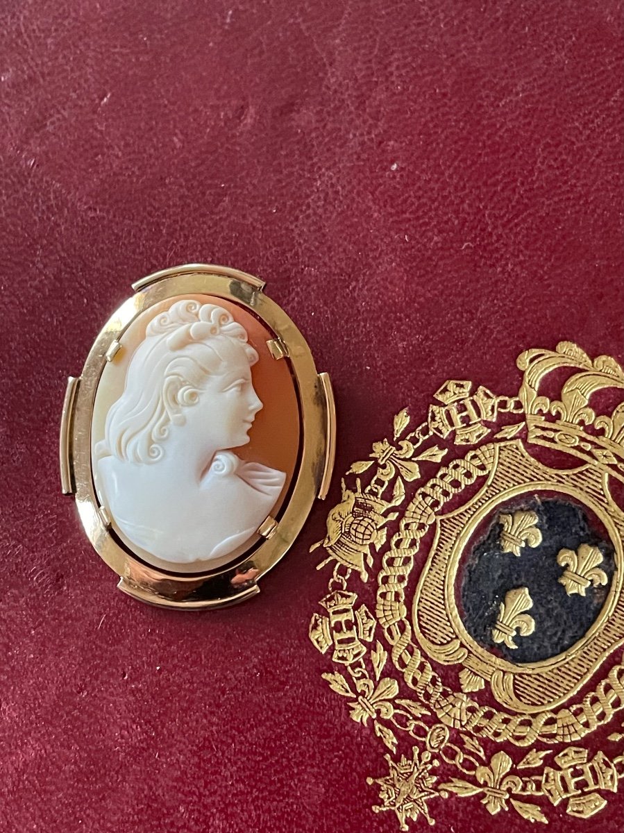 Broche Cameé Or -photo-1