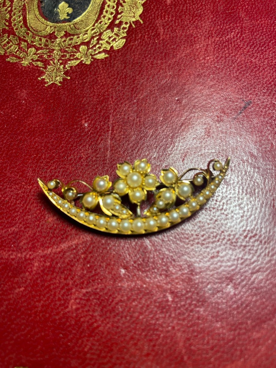 Gold And Pearl Brooch 