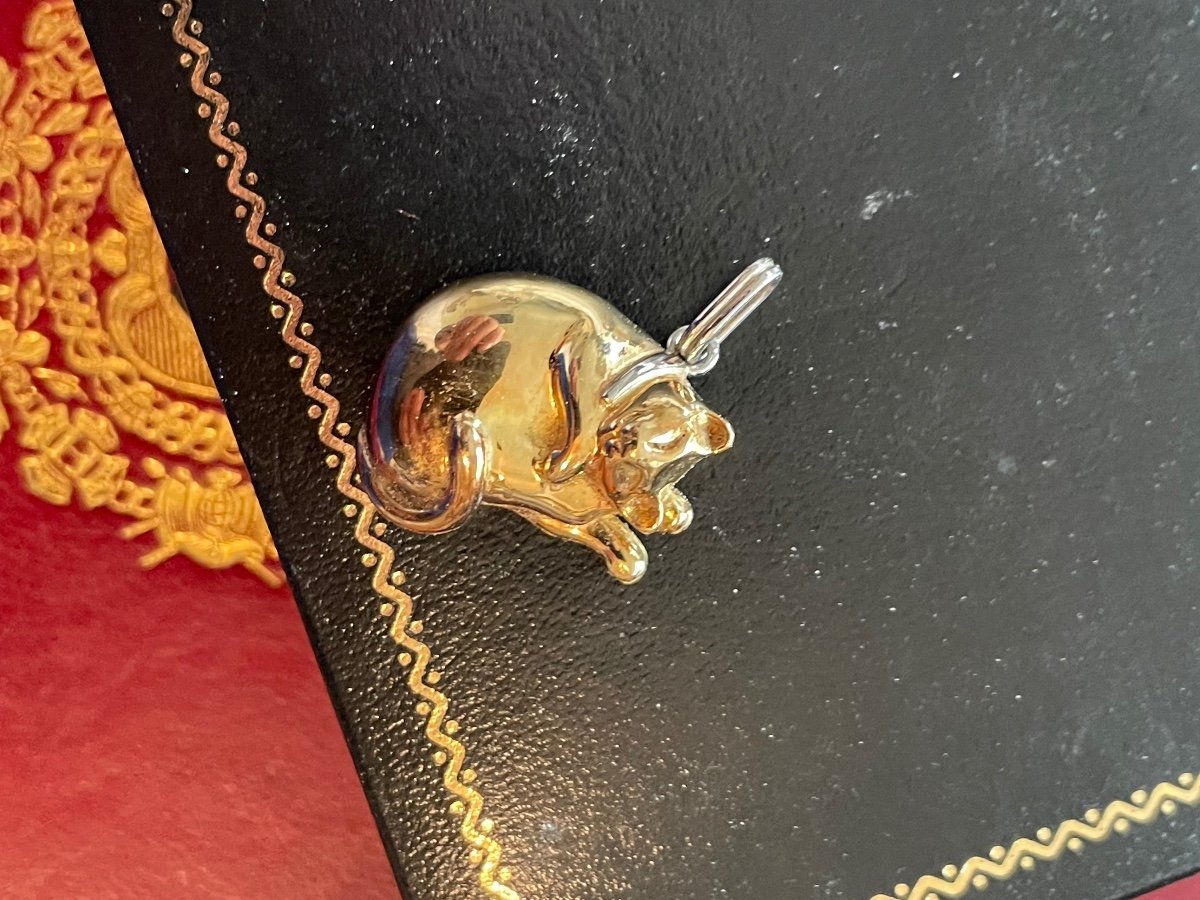 Chat En Or Pendentif Et Sa Chaîne -photo-4