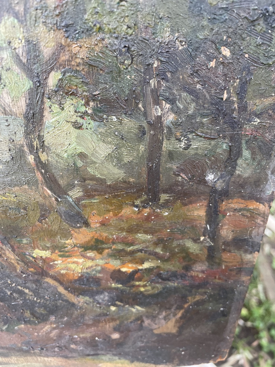 Mauret Woods In Andernos The Darriet Baths -photo-4