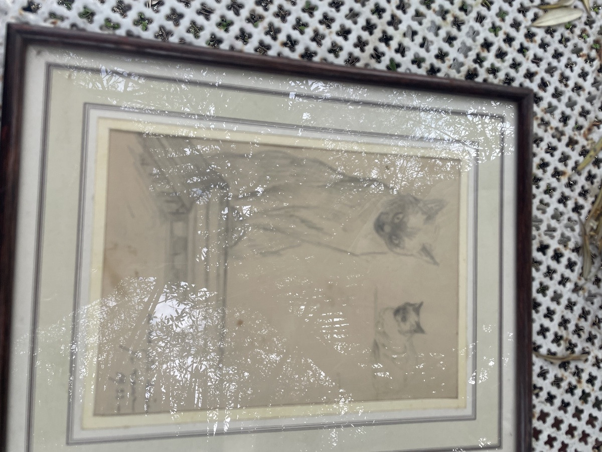 Drawing Of The Siamese Cat By Yau Laur -photo-3