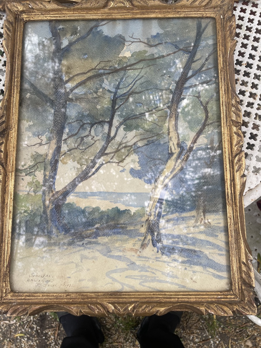 Aquarelle sous bois à Montalivet de Salvi -photo-2