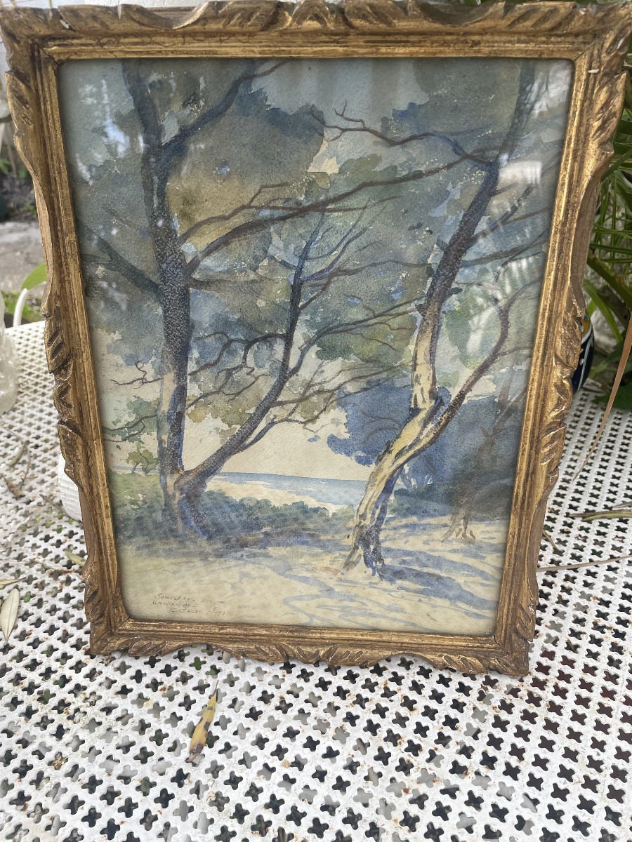 Aquarelle sous bois à Montalivet de Salvi -photo-4