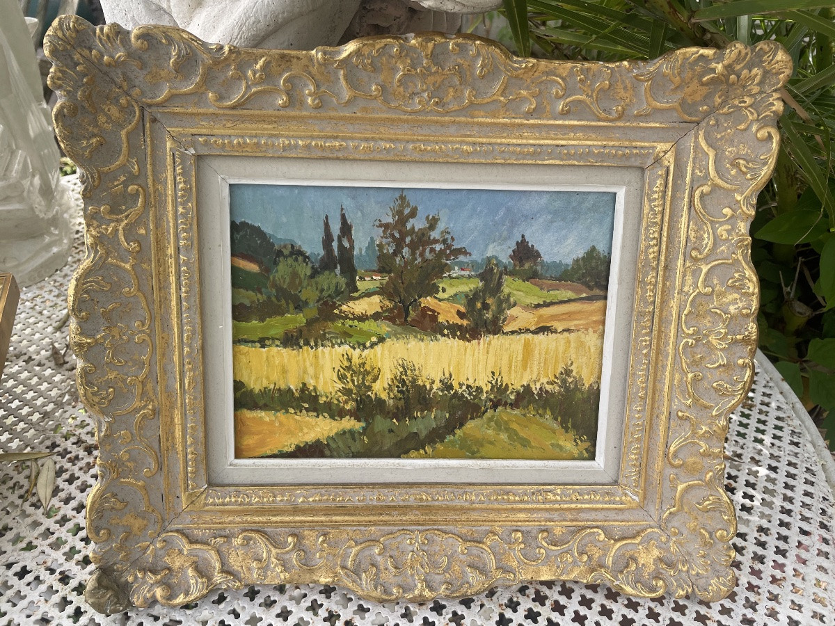 Paysage provençal aux champs de blé -photo-5
