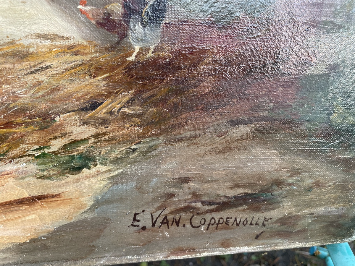 The Coppenolle Farmyard -photo-3