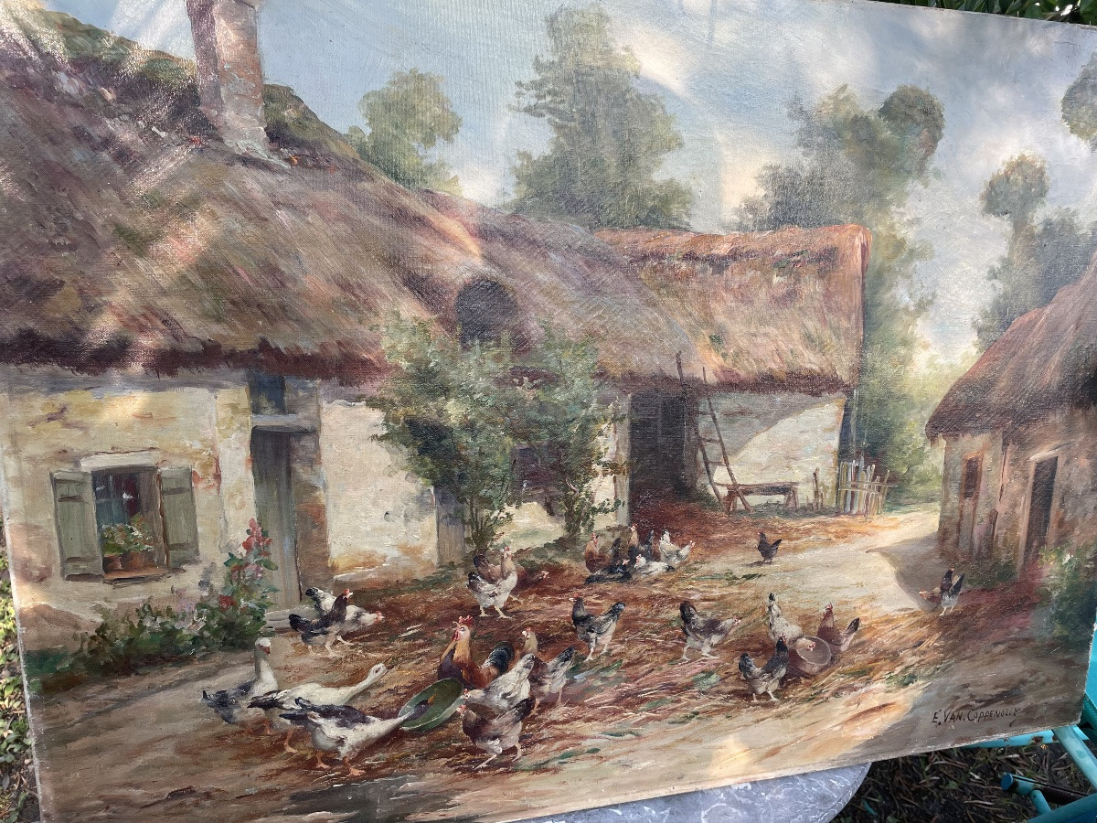 The Coppenolle Farmyard -photo-4