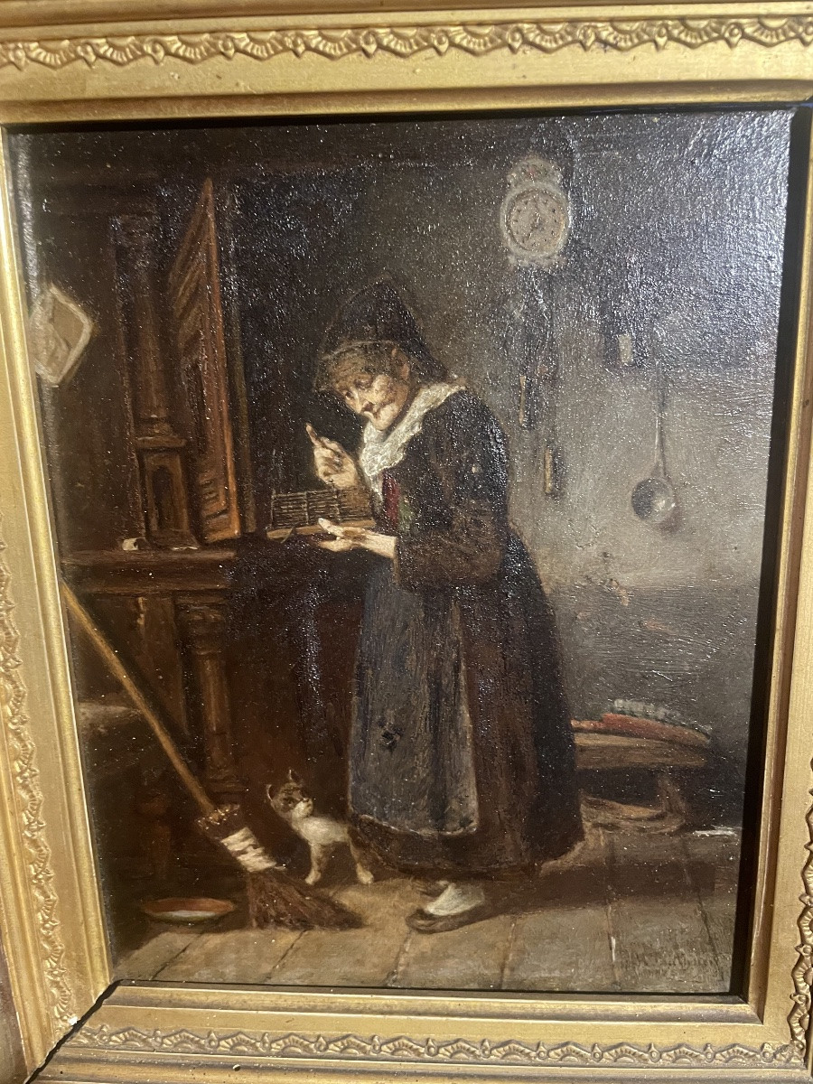 La vieille dame et son chat -photo-4