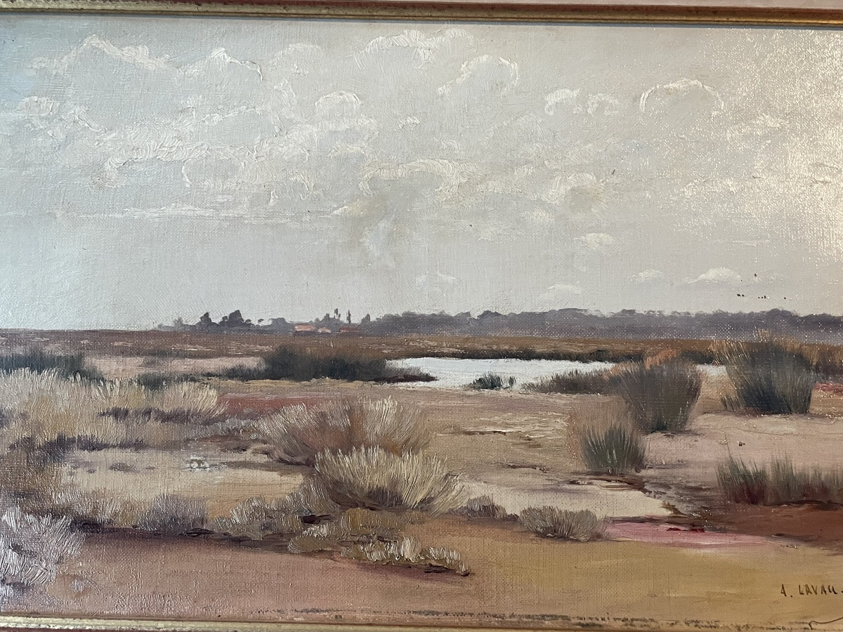The Arcachon Basin Of Lavau-revel-photo-8