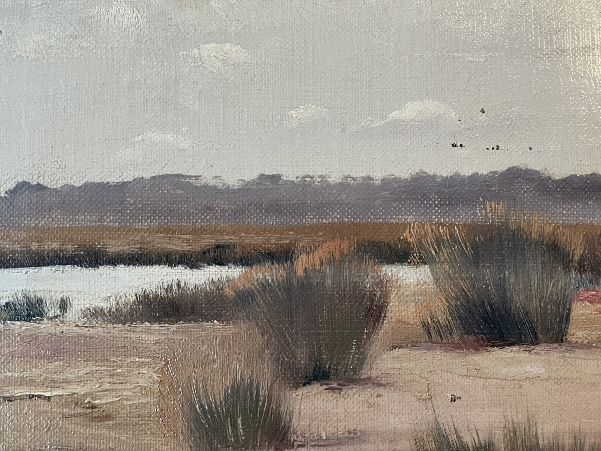 The Arcachon Basin Of Lavau-revel