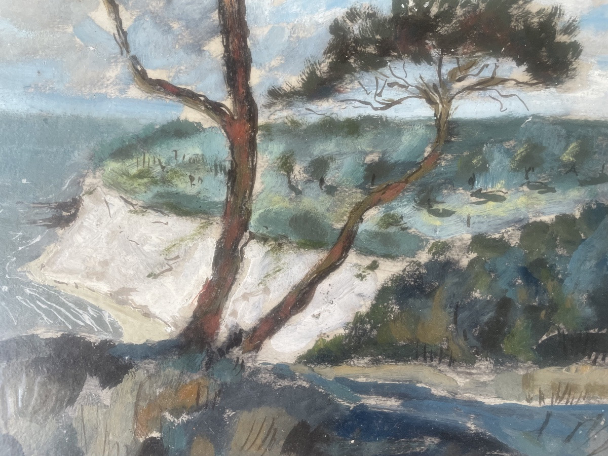 Coastline And Umbrella Pines -photo-1