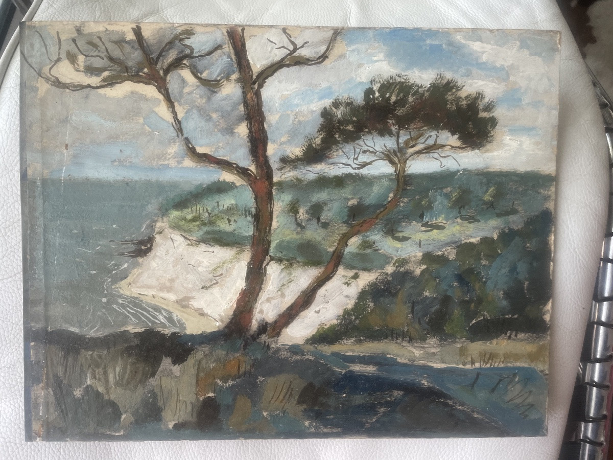 Coastline And Umbrella Pines -photo-2