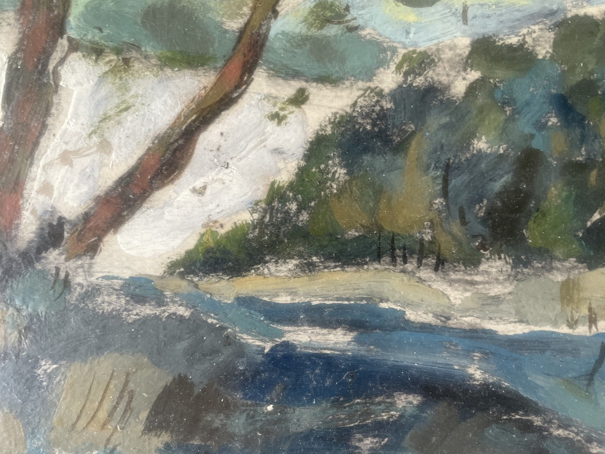 Coastline And Umbrella Pines -photo-4