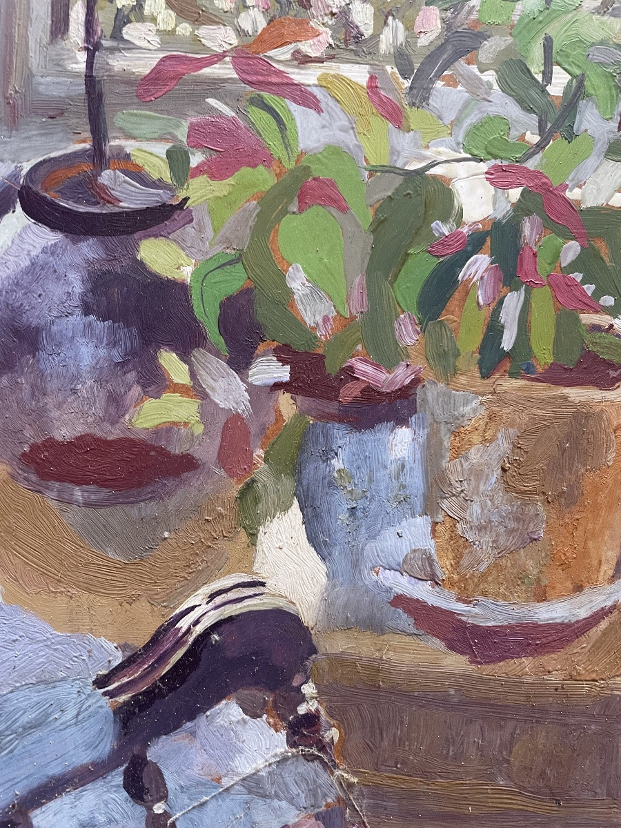 Succulents -photo-1