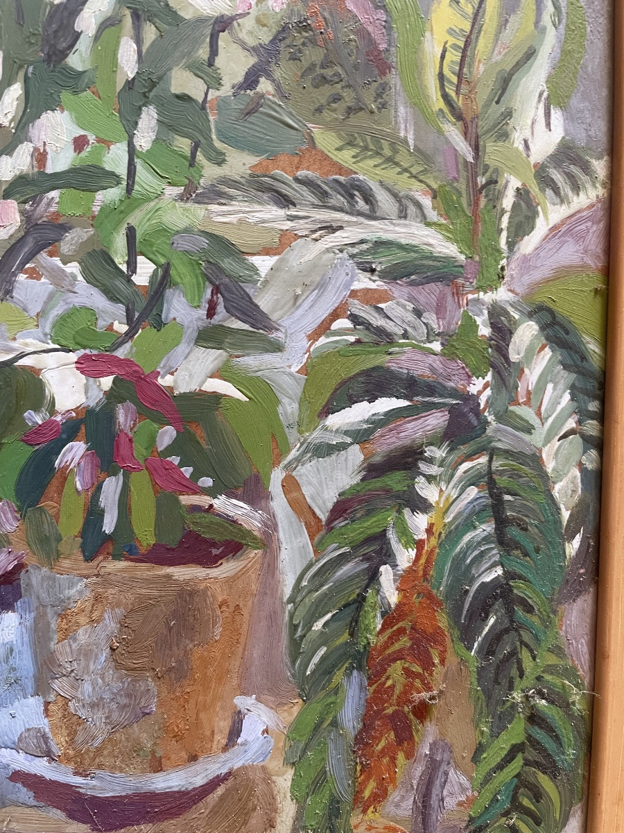 Succulents 