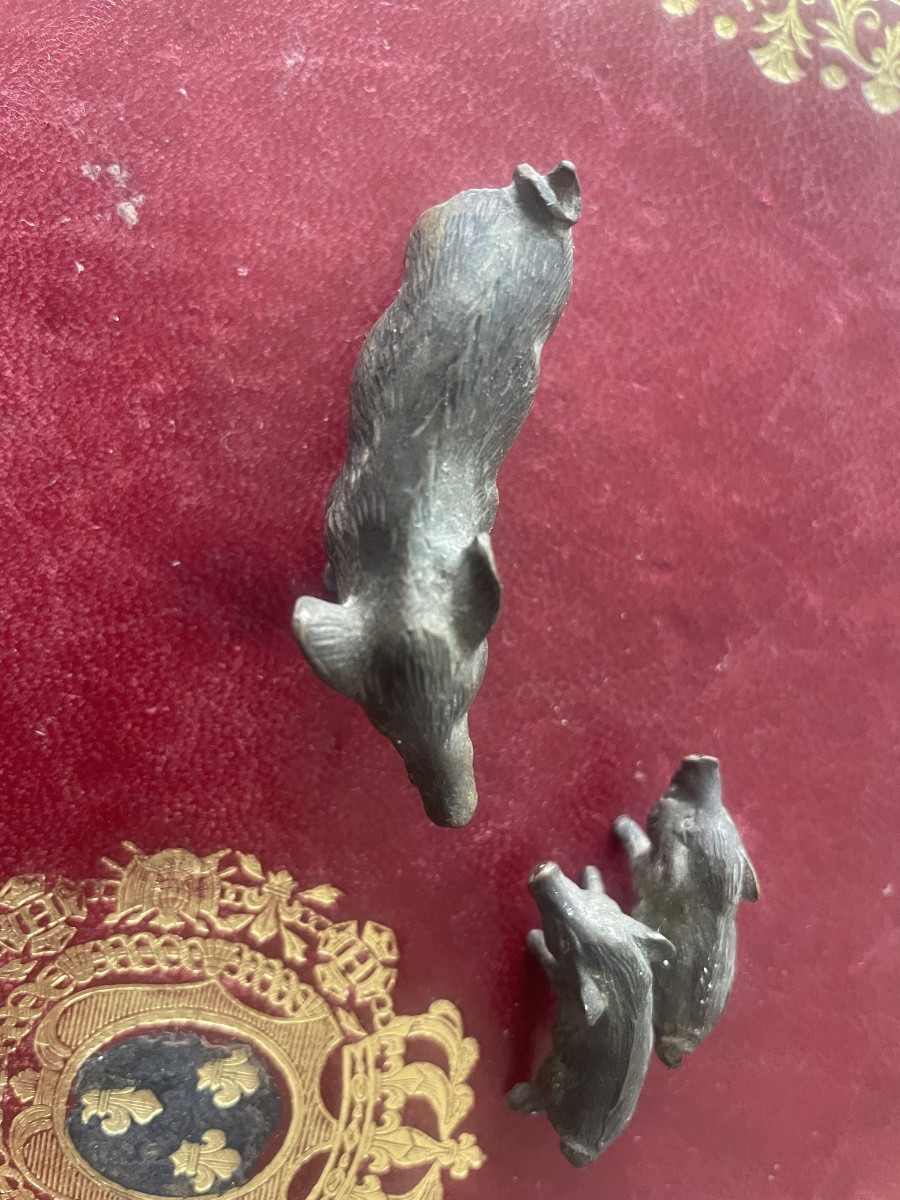 Laie et ses petits bronze de vienne -photo-5