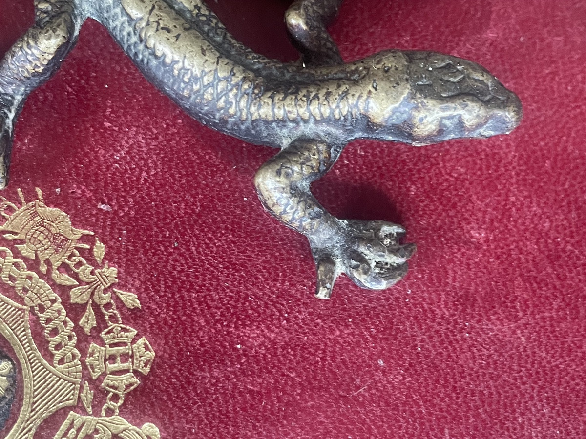 Bronze Lizard -photo-2