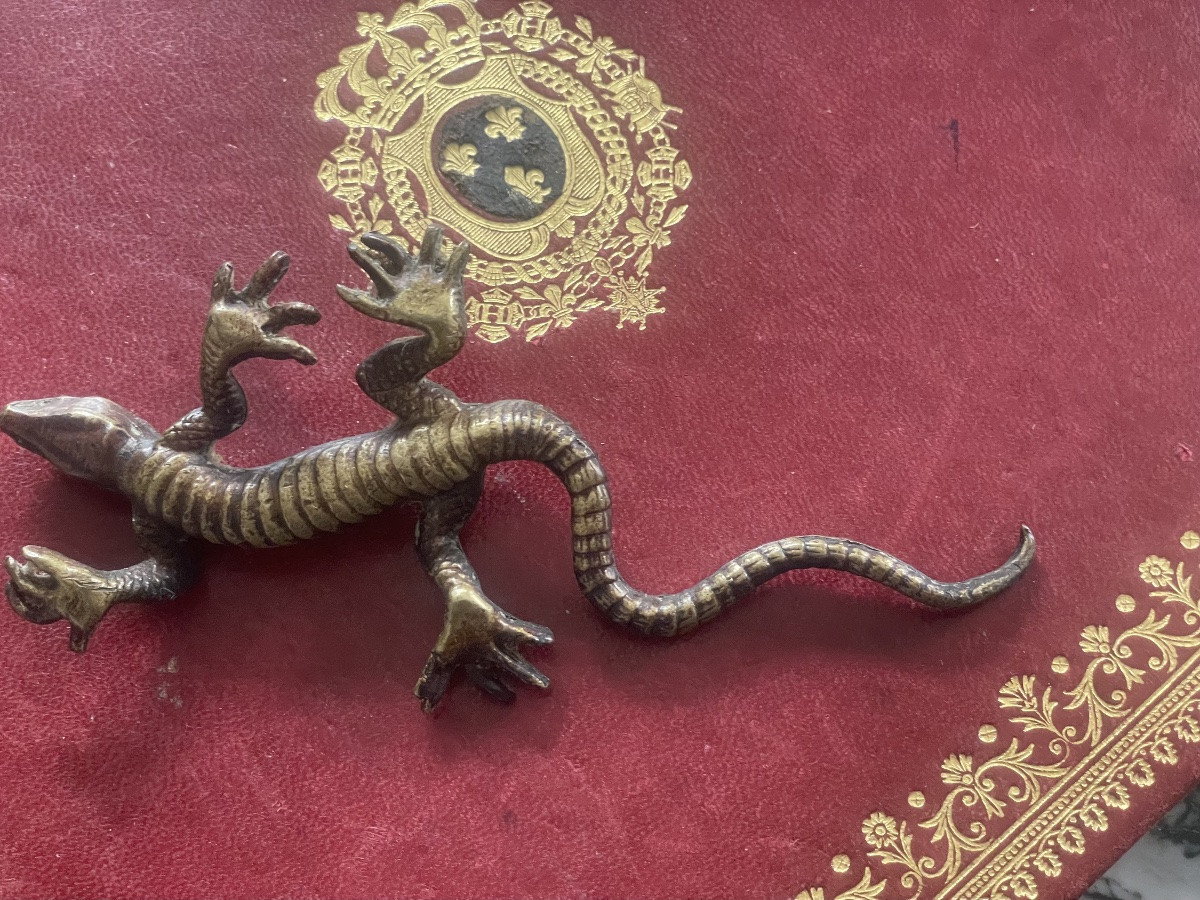 Bronze Lizard -photo-4