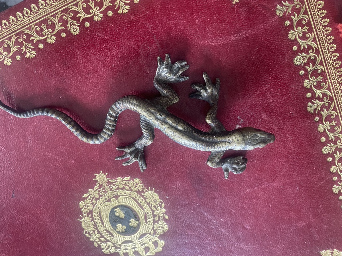 Bronze Lizard 