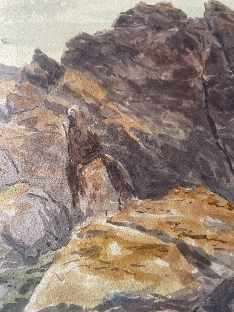 « La mauve  « aquarelle -photo-2