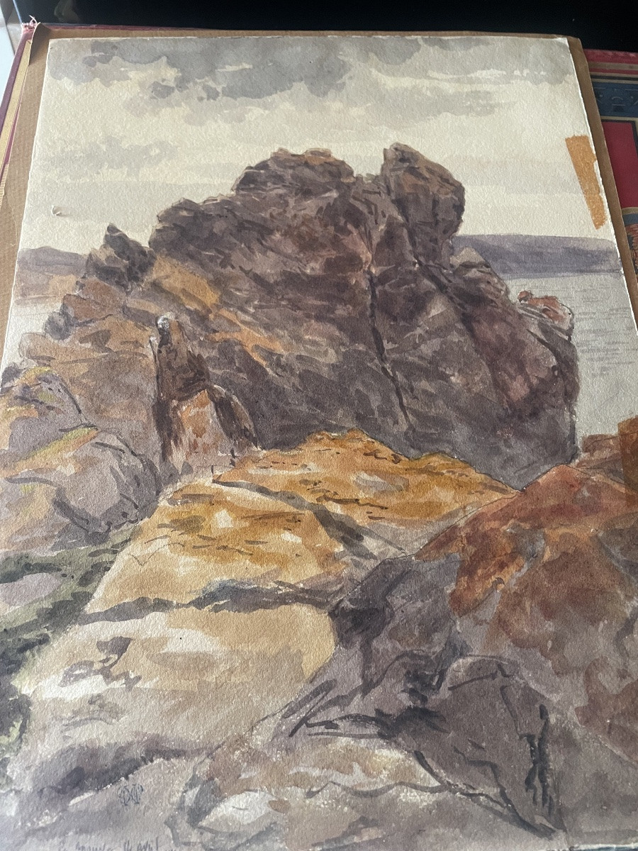 « La mauve  « aquarelle -photo-3