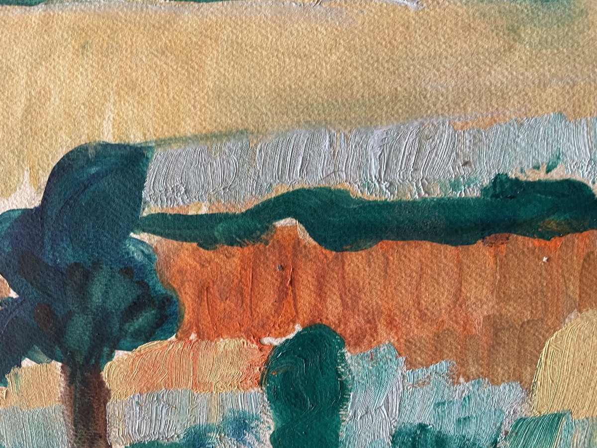 Paysage breton -photo-3
