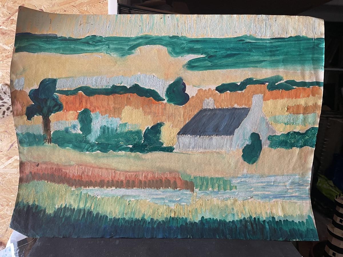 Paysage breton -photo-4