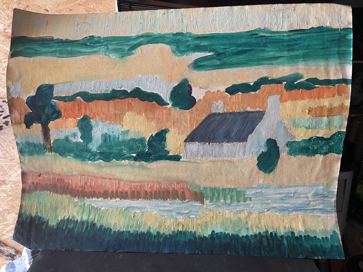 Paysage breton -photo-8