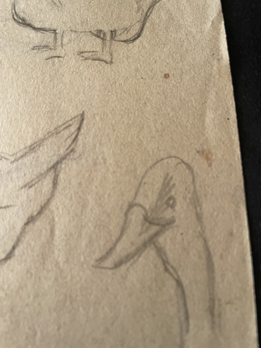 Study Of Geese Drawing -photo-3