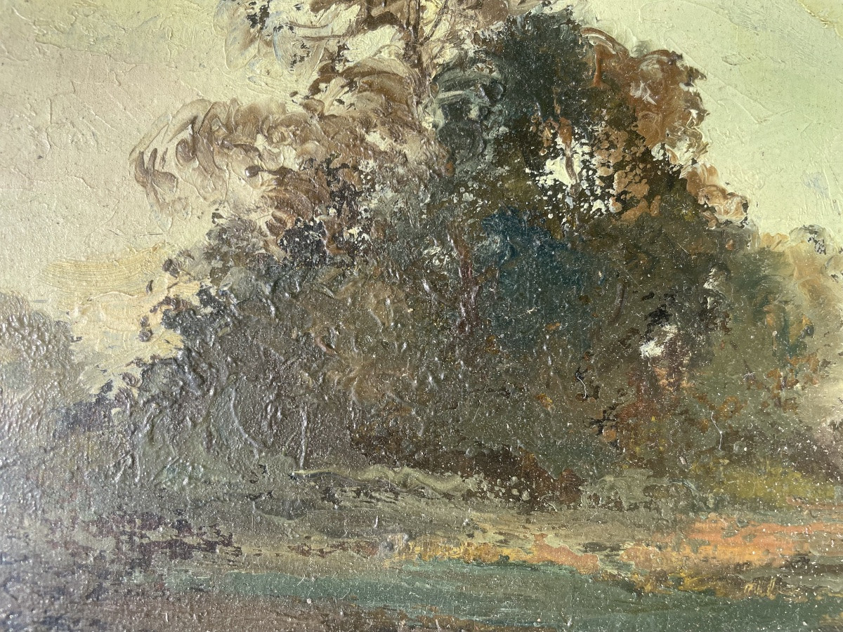 Paysage à la rivière -photo-4