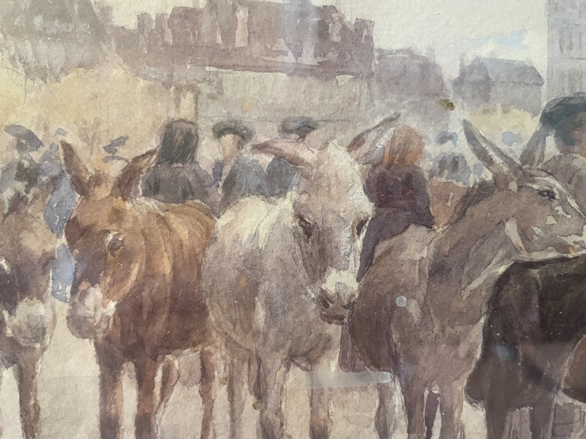 The Donkey Market In The Basque Country 