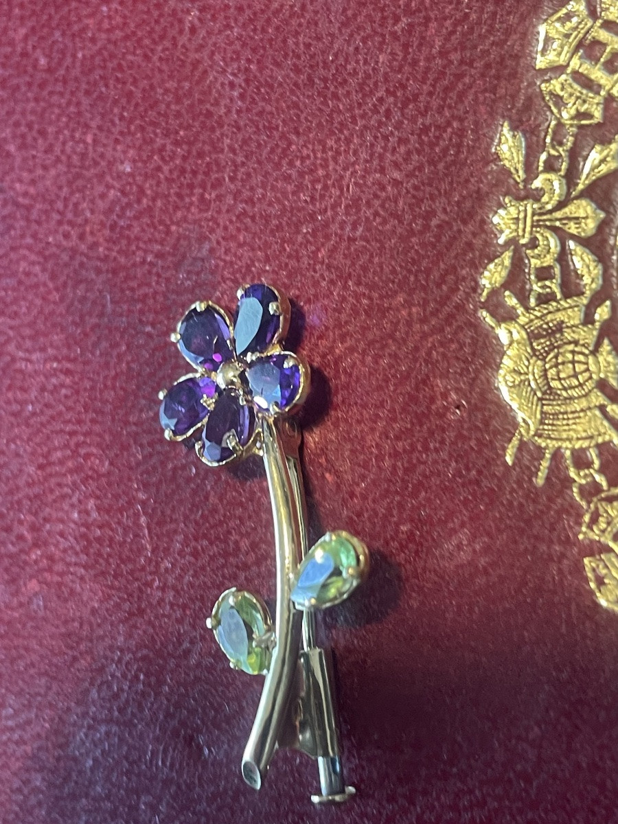 Gold Lucky Brooch With Amethysts And Peridots -photo-8