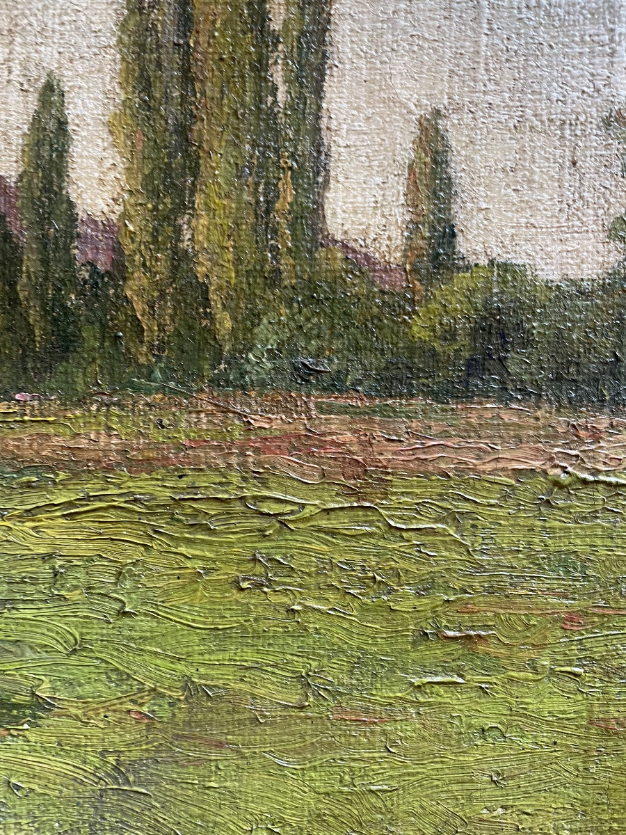 Tableau paysage de cyprès -photo-3
