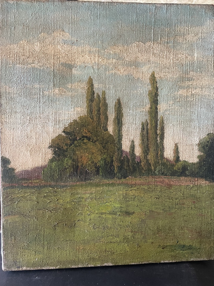 Tableau paysage de cyprès -photo-2