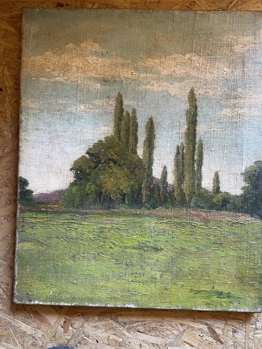 Tableau paysage de cyprès -photo-3