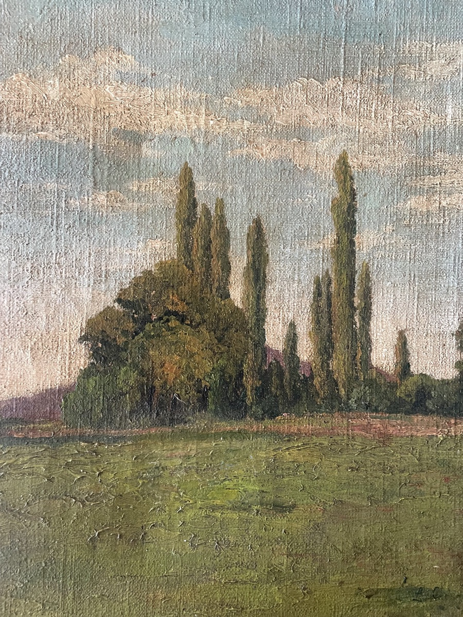 Tableau paysage de cyprès -photo-4