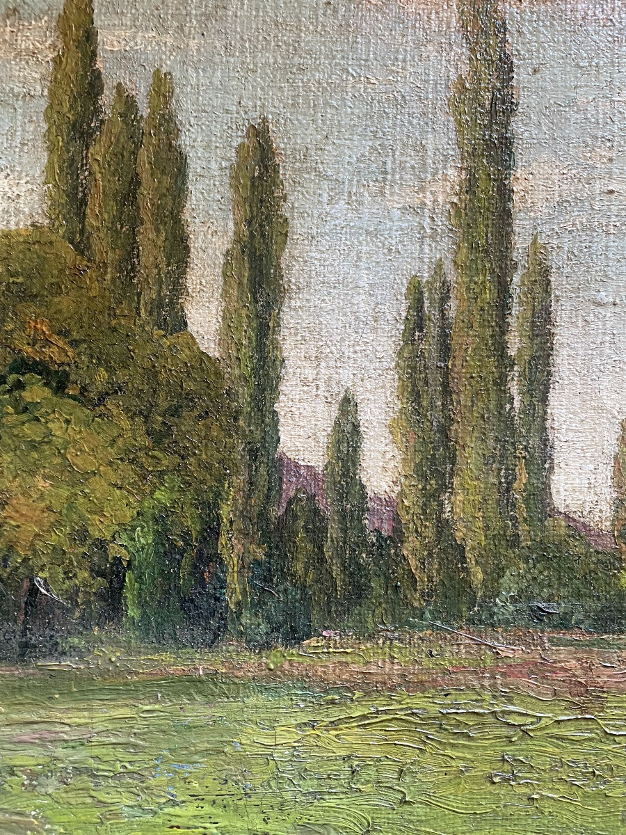 Tableau paysage de cyprès -photo-6