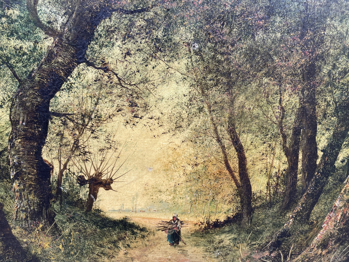 Sous bois de rené Gourdon 