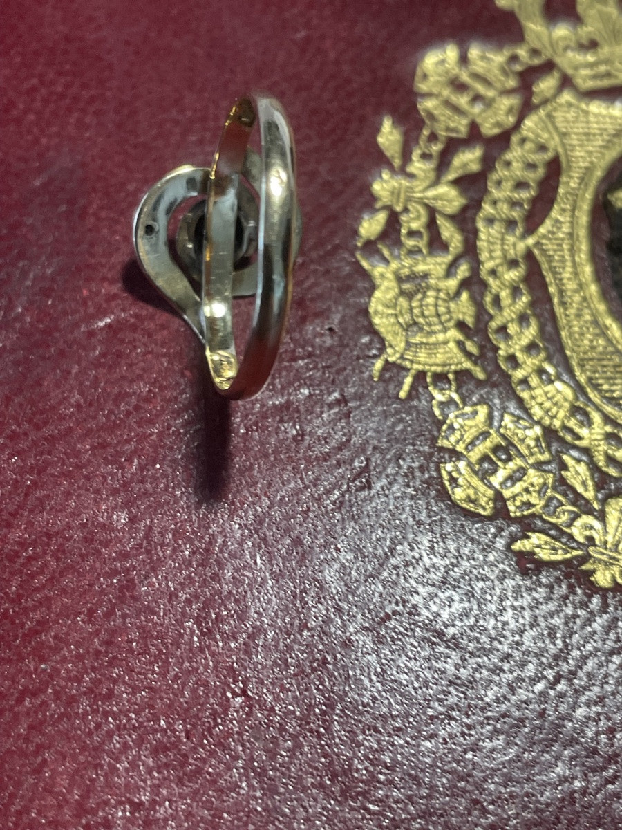 Spiral Ring In Gold And Black Diamond Roses -photo-7