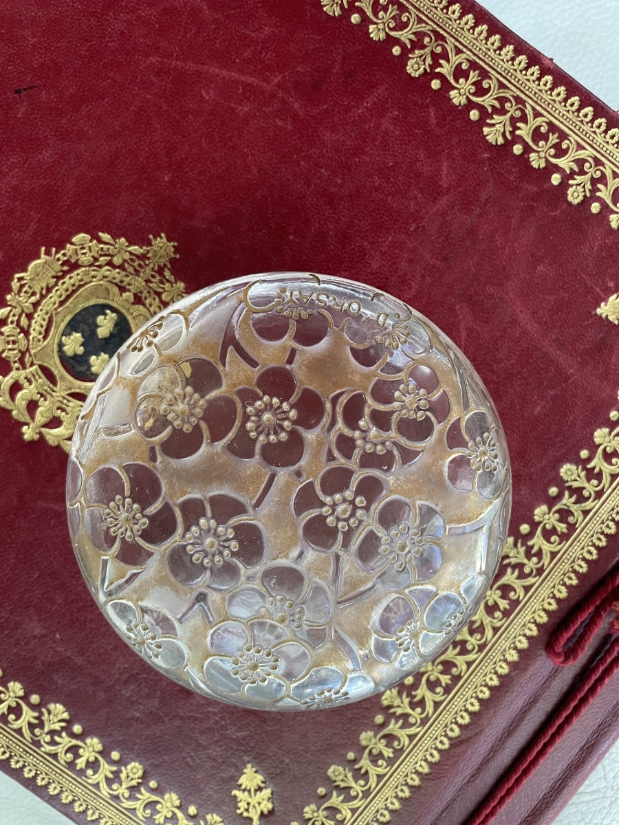 Crystal Box By R. Lalique  -photo-8